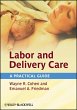 Labor and Delivery Care (eBook, ePUB) - Bild 1