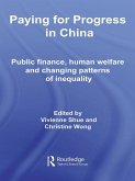 Paying for Progress in China (eBook, ePUB)