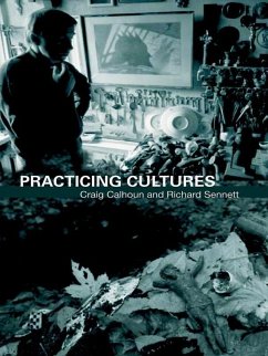 Practicing Culture (eBook, ePUB)
