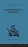 Social Origins of Depression (eBook, PDF)