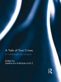A Tale of Two Crises (eBook, ePUB)