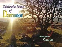 Captivating Images of Dartmoor - Goss, Corinna