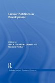 Labour Relations in Development (eBook, ePUB)