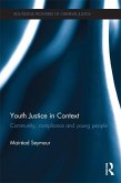 Youth Justice in Context (eBook, PDF)