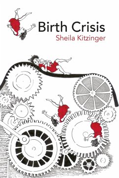 Cover Birth Crisis (eBook, ePUB)