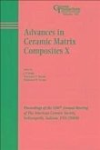 Advances in Ceramic Matrix Composites X (eBook, PDF)