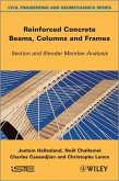 Reinforced Concrete Beams, Columns and Frames (eBook, PDF)