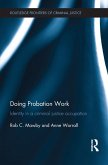 Doing Probation Work (eBook, PDF)