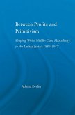 Between Profits and Primitivism (eBook, ePUB)