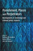 Punishment, Places and Perpetrators (eBook, PDF)