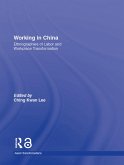 Working in China (eBook, ePUB)