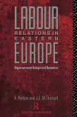 Labour Relations in Eastern Europe (eBook, PDF)