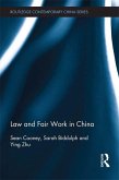 Law and Fair Work in China (eBook, ePUB)