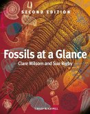 Fossils at a Glance (eBook, ePUB)