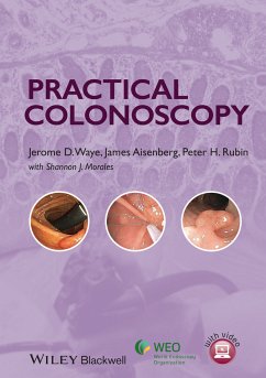 Practical Colonoscopy (eBook, PDF) - Waye, Jerome D.; Aisenberg, James; Rubin, Peter H.; Morales, Shannon J.