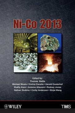 Ni-Co 2013 (eBook, PDF) - Battle, Thomas P.; Wang, Shijie; Moats, Michael; Cocalia, Violina; Oosterhof, Harald; Alam, Shafiq; Allanore, Antoine; Jones, Rodney; Stubina, Nathan; Anderson, Corby