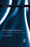 Uniting Diverse Organizations (eBook, PDF)