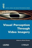 Visual Perception Through Video Imagery (eBook, ePUB)