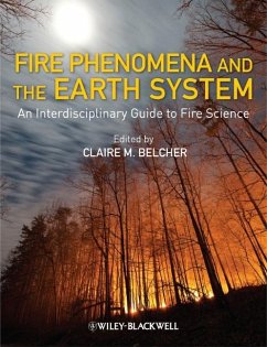Fire Phenomena and the Earth System (eBook, PDF)
