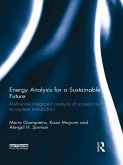 Energy Analysis for a Sustainable Future (eBook, ePUB)