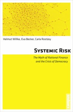 Systemic Risk - Willke, Helmut;Becker, Eva;Rostásy, Carla