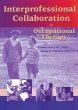 Interprofessional Collaboration in... - Bild 1