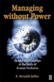 Managing Without Power (eBook, PDF)