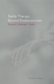 Family Therapy Beyond Postmodernism (eBook, PDF)