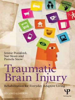 Cover Traumatic Brain Injury (eBook, PDF)