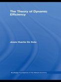 The Theory of Dynamic Efficiency (eBook, ePUB)