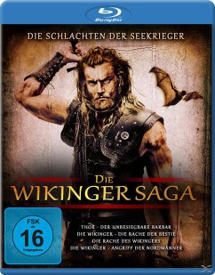 Die Wikinger Saga Cover Die Wikinger Saga