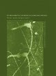 Environmental Values in a Globalizing... - Bild 1