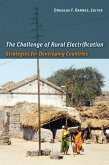 The Challenge of Rural Electrification (eBook, PDF)