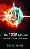 The 2030 Spike (eBook, ePUB)