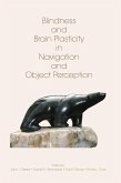 Blindness and Brain Plasticity in Navigation and Object Perception (eBook, PDF)