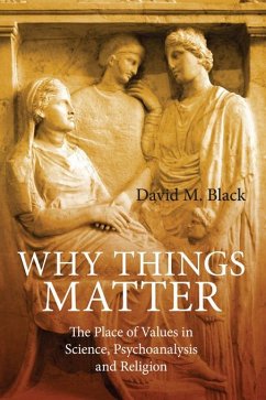 Why Things Matter (eBook, ePUB) - Black, David M.