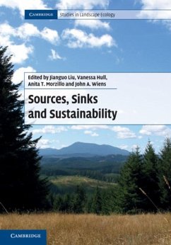 Sources, Sinks and Sustainability (eBook, PDF)
