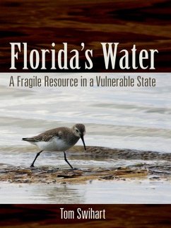 Cover Florida's Water (eBook, ePUB)
