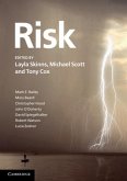 Risk (eBook, PDF)