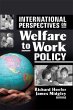 International Perspectives on Welfare... - Bild 1