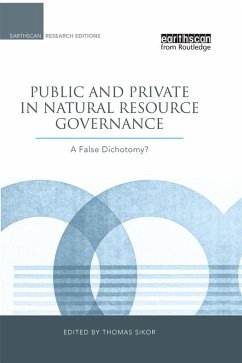 Public and Private in Natural Resource Governance (eBook, PDF)