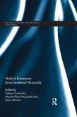 Hybrid Economic-Environmental Accounts (eBook, PDF)