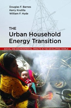 Cover The Urban Household Energy Transition (eBook, PDF)