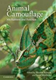 Animal Camouflage (eBook, PDF)