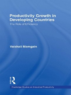 Productivity Growth in Developing Countries (eBook, PDF) - Mamgain, Vaishali