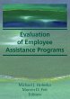 Evaluation of Employee Assistance... - Bild 1