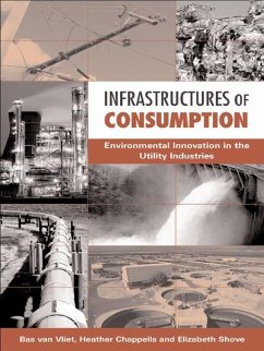 Cover Infrastructures of Consumption (eBook, PDF)