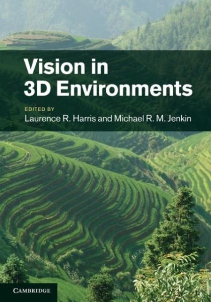Vision in 3D Environments (eBook, PDF)