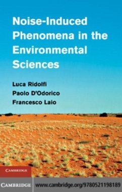 Noise-Induced Phenomena in the Environmental Sciences (eBook, PDF) - Ridolfi, Luca