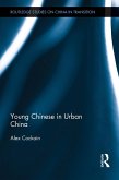 Young Chinese in Urban China (eBook, PDF)